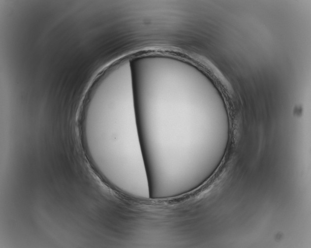 X0000097950831200803241017