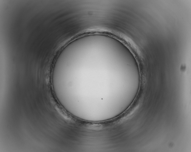 X0000097950833200803241017