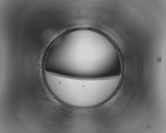 X0000097950834200803241017