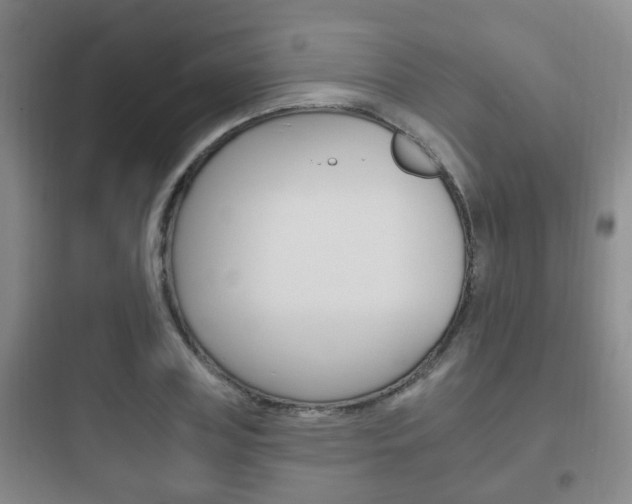 X0000097950835200803241017
