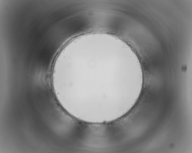 X0000097950836200803241017