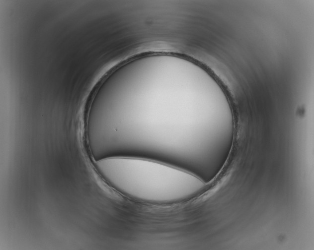 X0000097950837200803241017