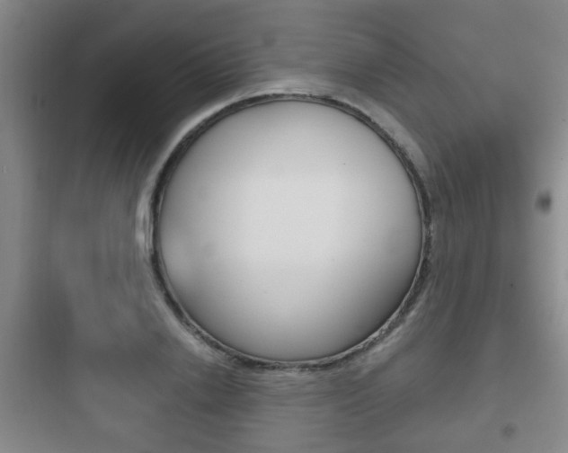 X0000097950838200803241017