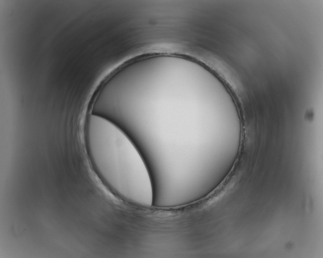 X0000097950839200803241017