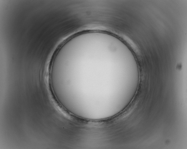 X0000097950840200803241017