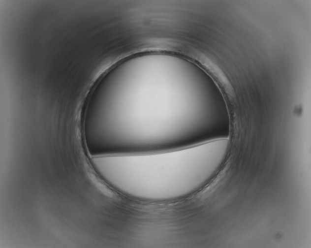 X0000097950842200803241017