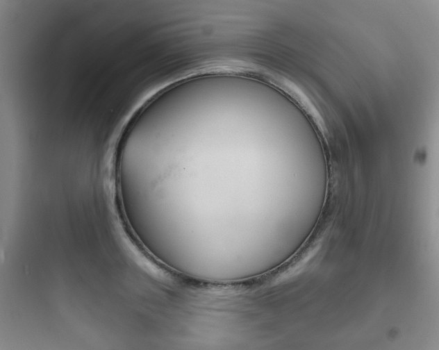 X0000097950843200803241017