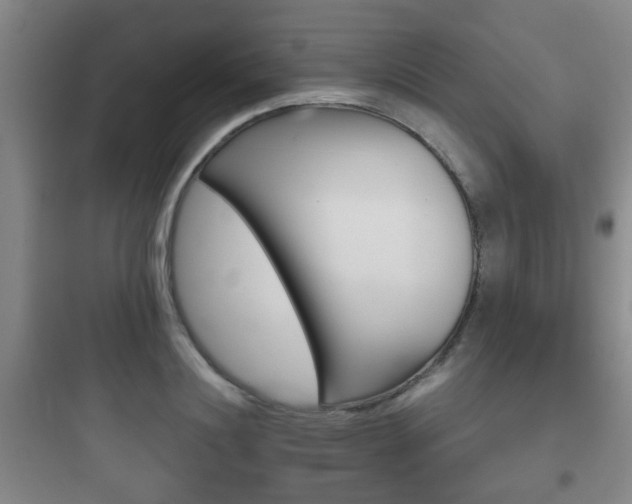 X0000097950844200803241017