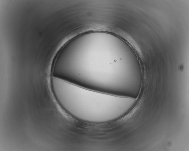 X0000097950845200803241017