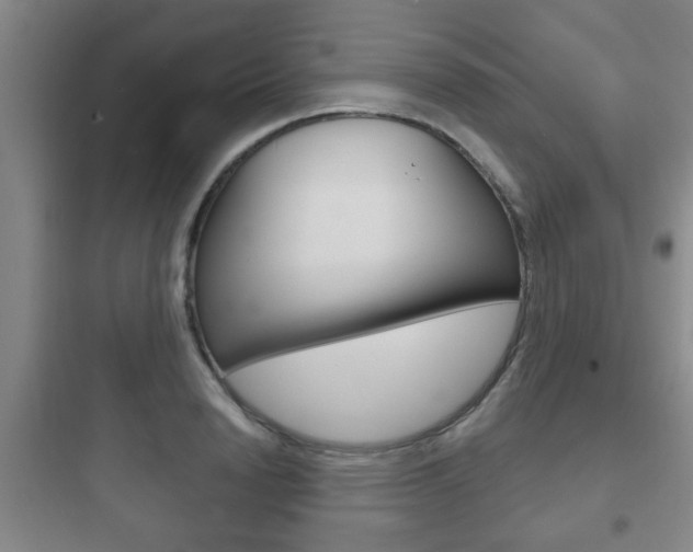 X0000097950846200803241017