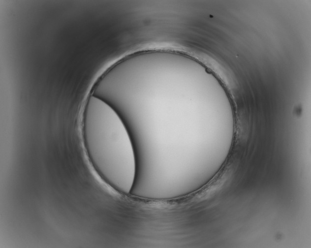X0000097950847200803241017
