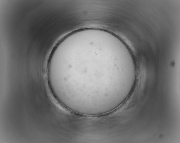 X0000097950848200803241017