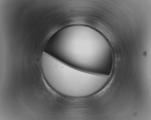 X0000097950849200803241017