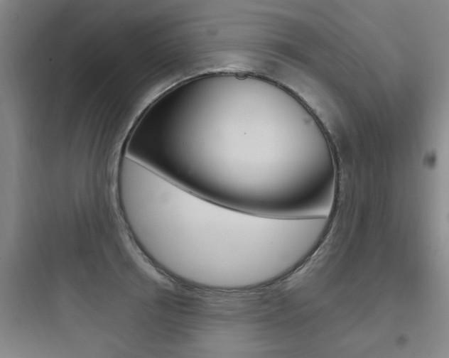 X0000097950850200803241017