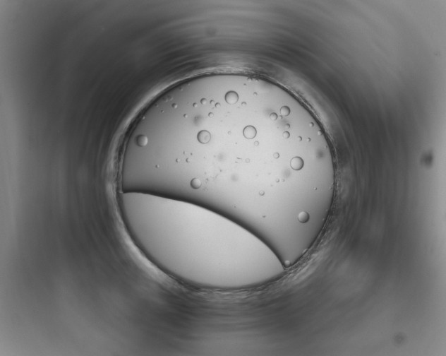 X0000097950851200803241017