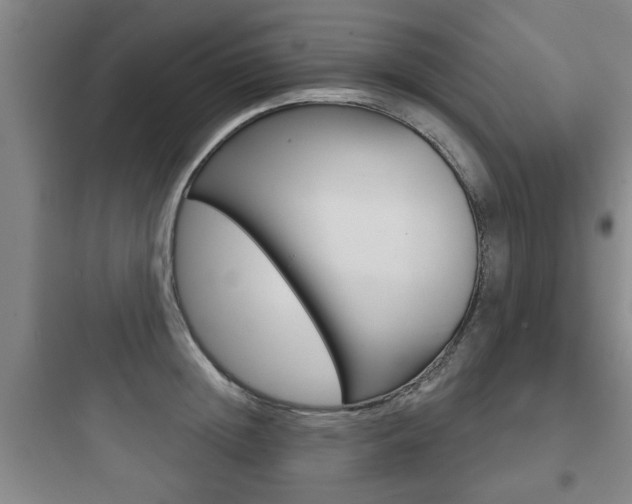 X0000097950852200803241017