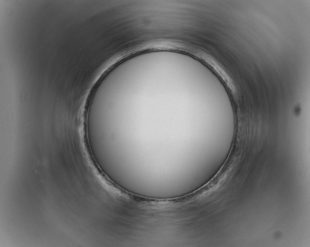 X0000097950853200803241017