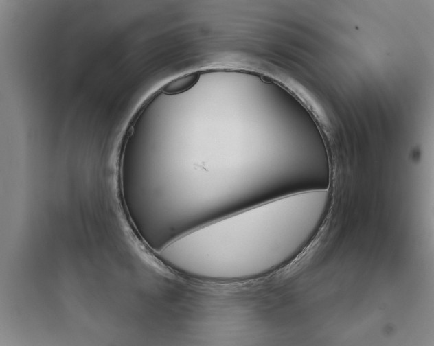 X0000097950854200803241017