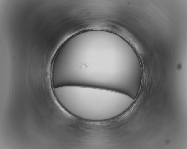 X0000097950855200803241017