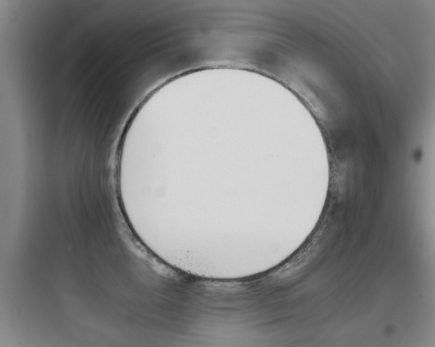 X0000097950856200803241017