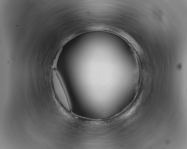 X0000097950857200803241017