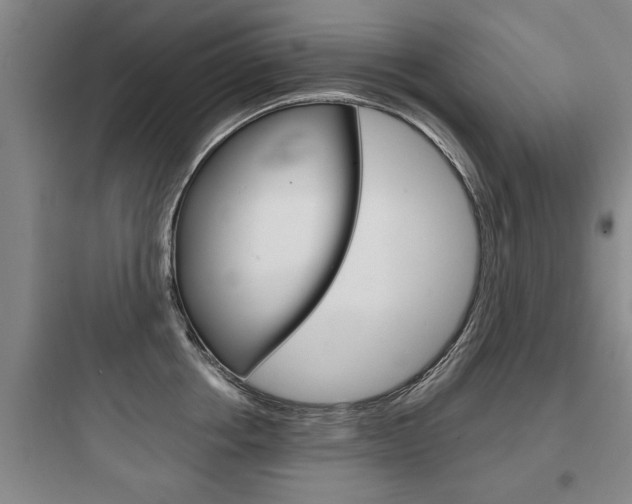 X0000097950858200803241017