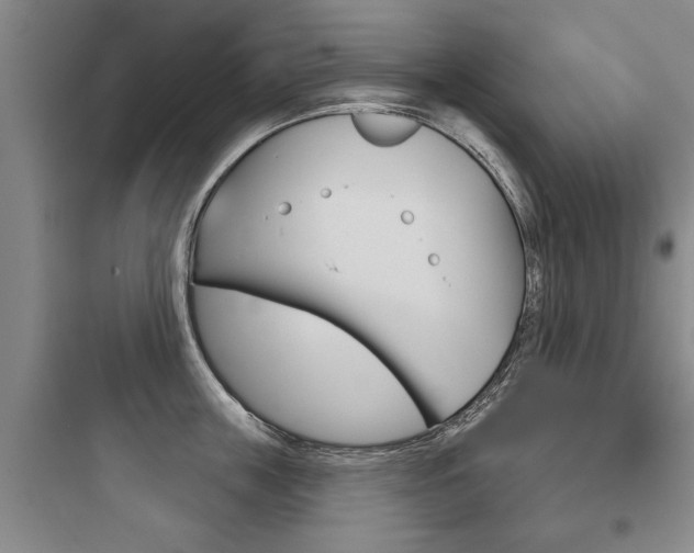 X0000097950859200803241017