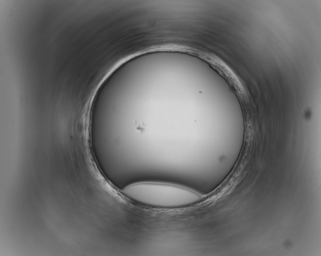 X0000097950860200803241017
