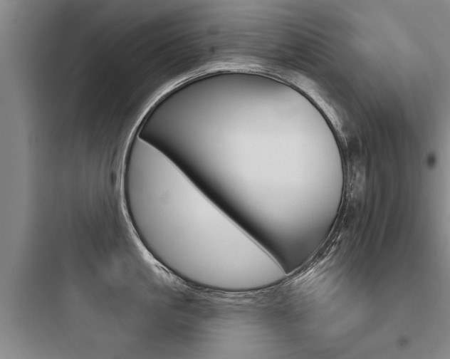 X0000097950861200803241017