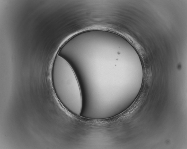 X0000097950862200803241017