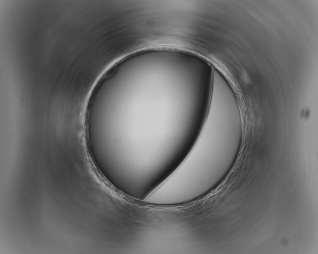 X0000097950864200803241017