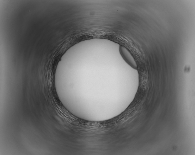 X0000097950866200803241016