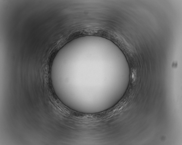 X0000097950867200803241016