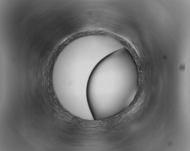 X0000097950871200803241016