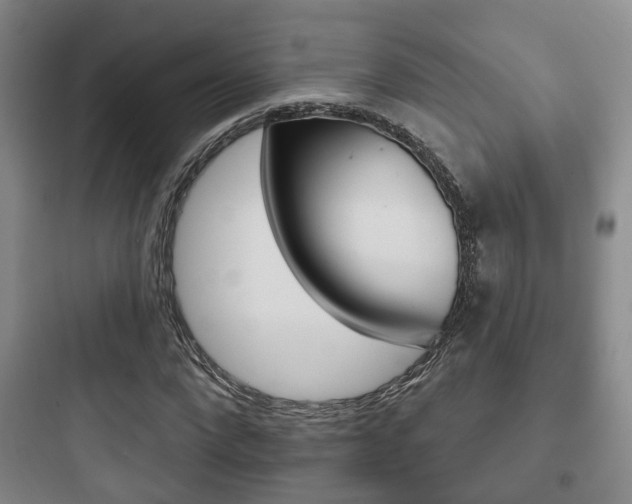 X0000097950872200803241016