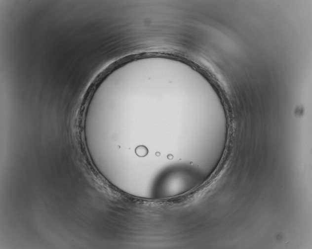 X0000097950875200803241016