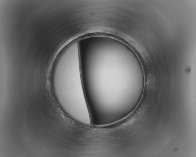 X0000097950877200803241016