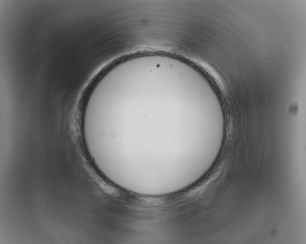 X0000097950878200803241016