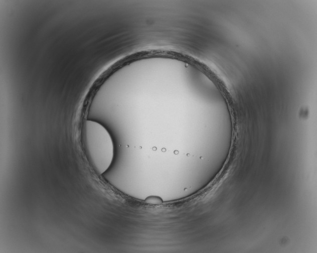X0000097950879200803241016