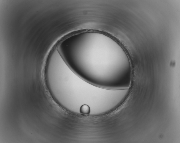X0000097950880200803241016