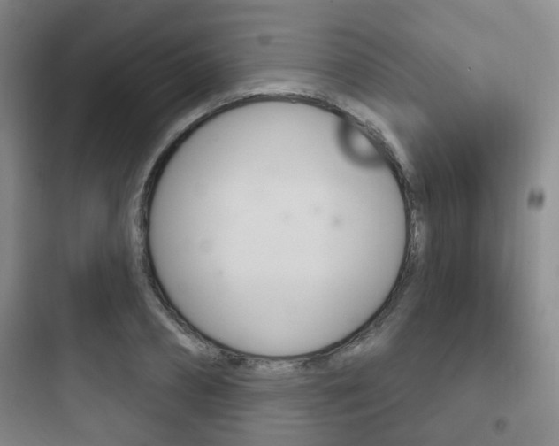 X0000097950882200803241016