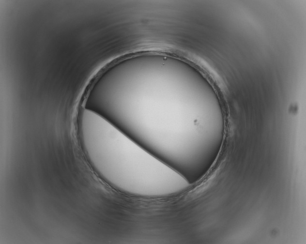 X0000097950883200803241016