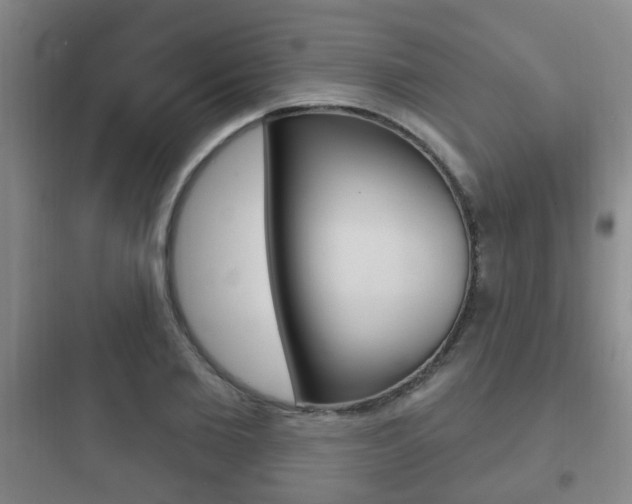 X0000097950885200803241016
