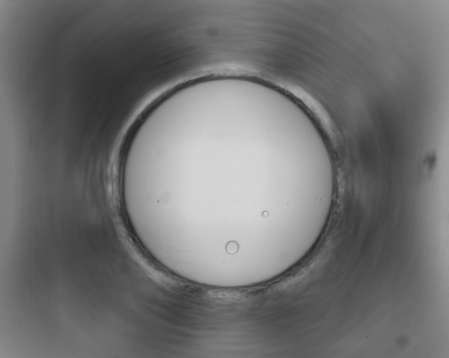 X0000097950886200803241016