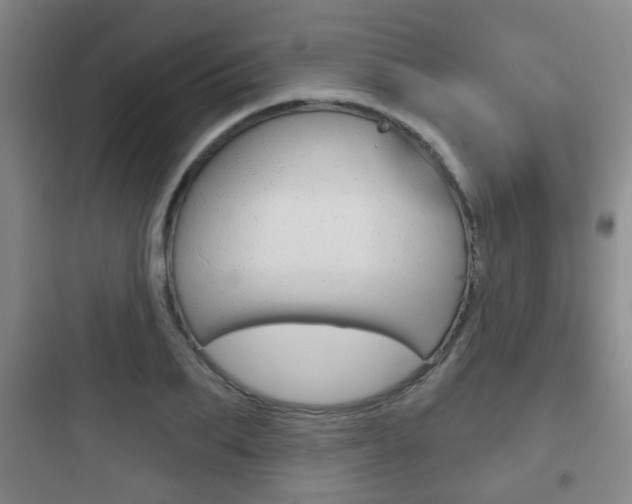 X0000097950887200803241016