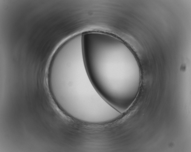 X0000097950888200803241016