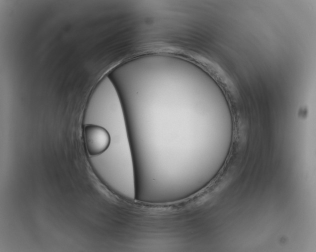 X0000097950889200803241016