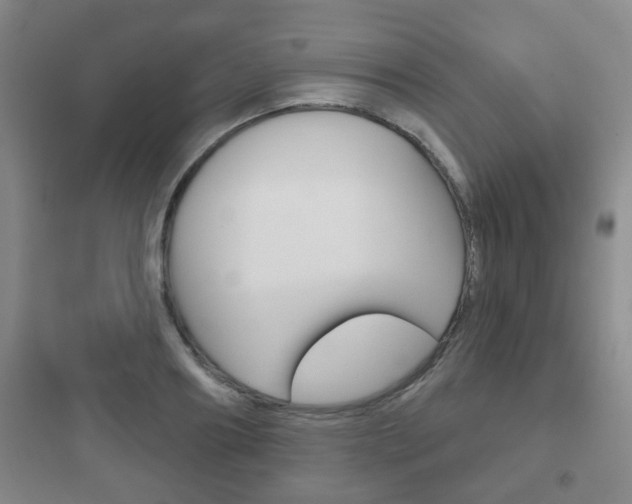 X0000097950890200803241016
