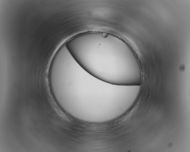 X0000097950891200803241016