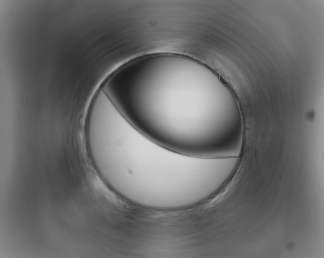 X0000097950892200803241016